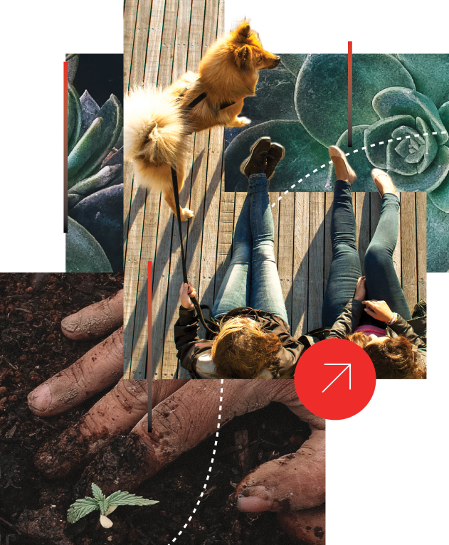 Poster Concept - Artwork Only 1 (1)